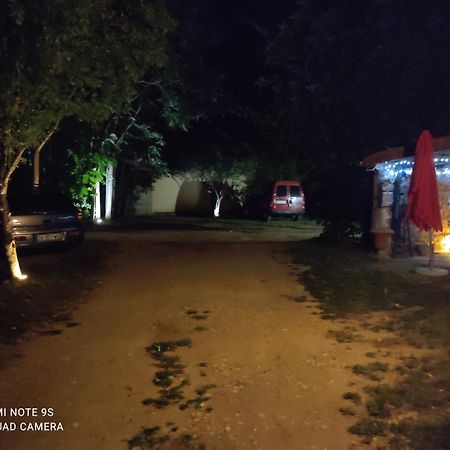 Apartment Albert Parking Prive Gratuit Limoux Dış mekan fotoğraf