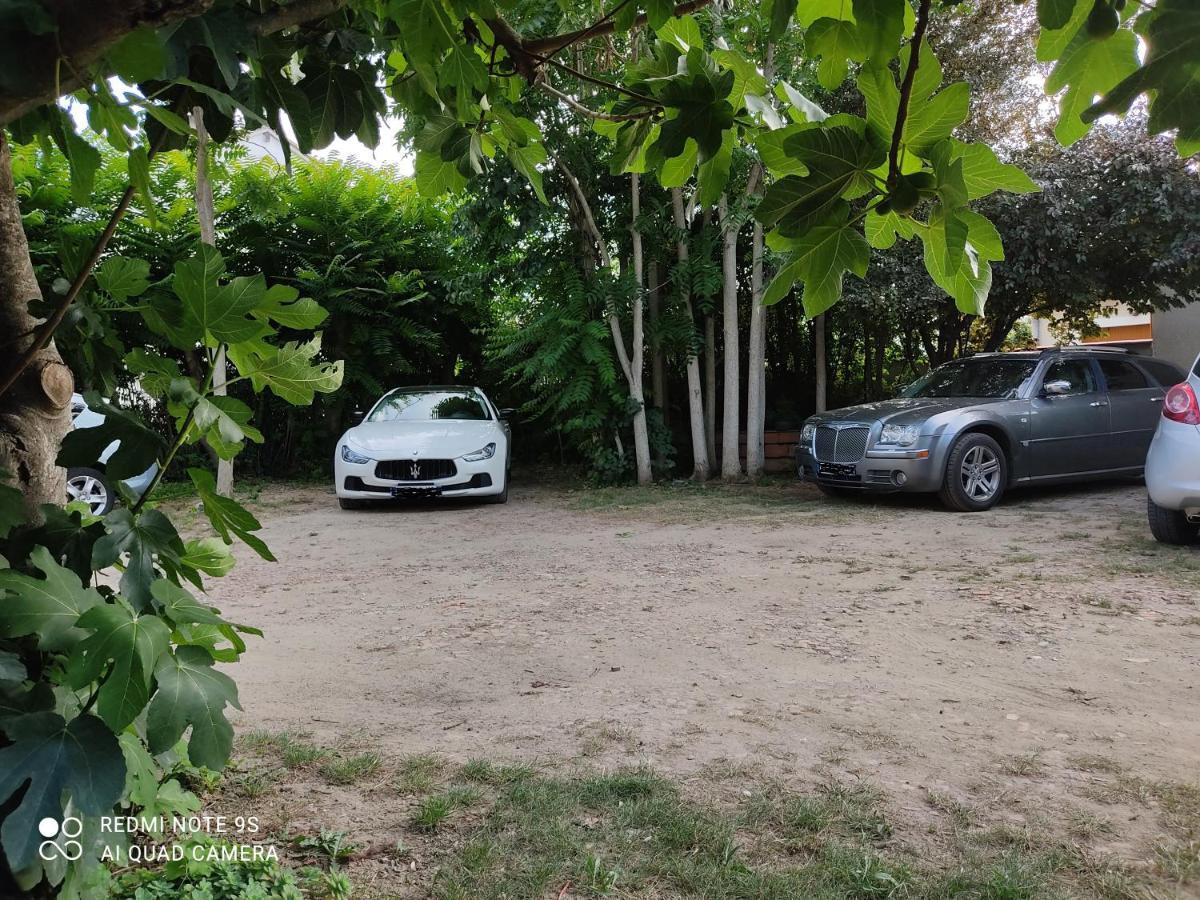 Apartment Albert Parking Prive Gratuit Limoux Dış mekan fotoğraf