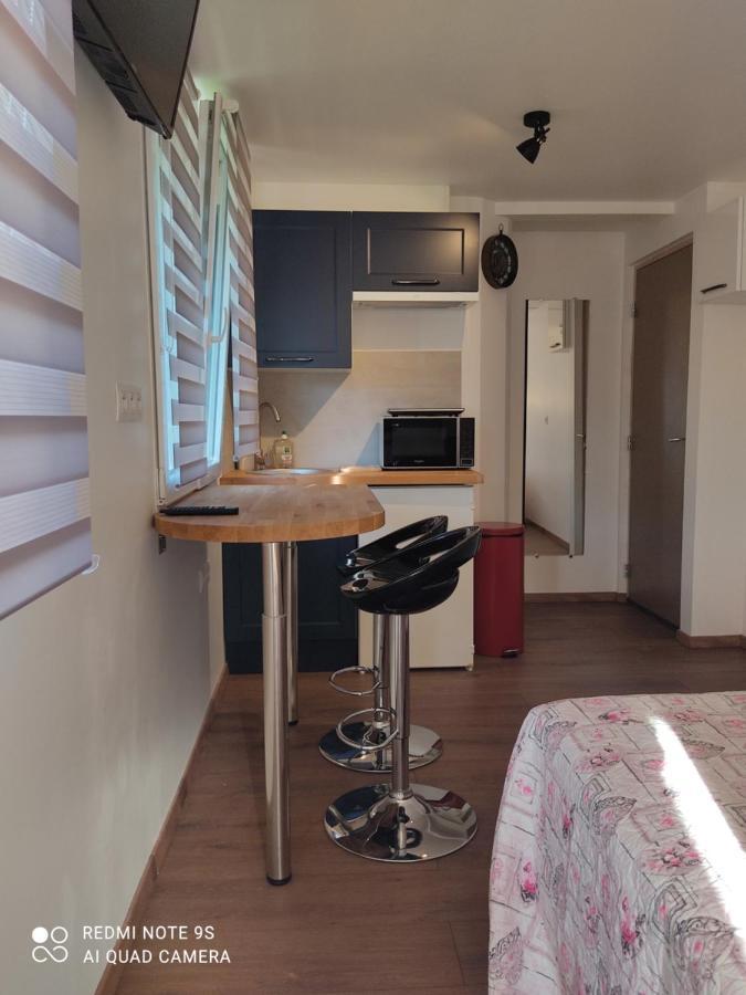 Apartment Albert Parking Prive Gratuit Limoux Dış mekan fotoğraf