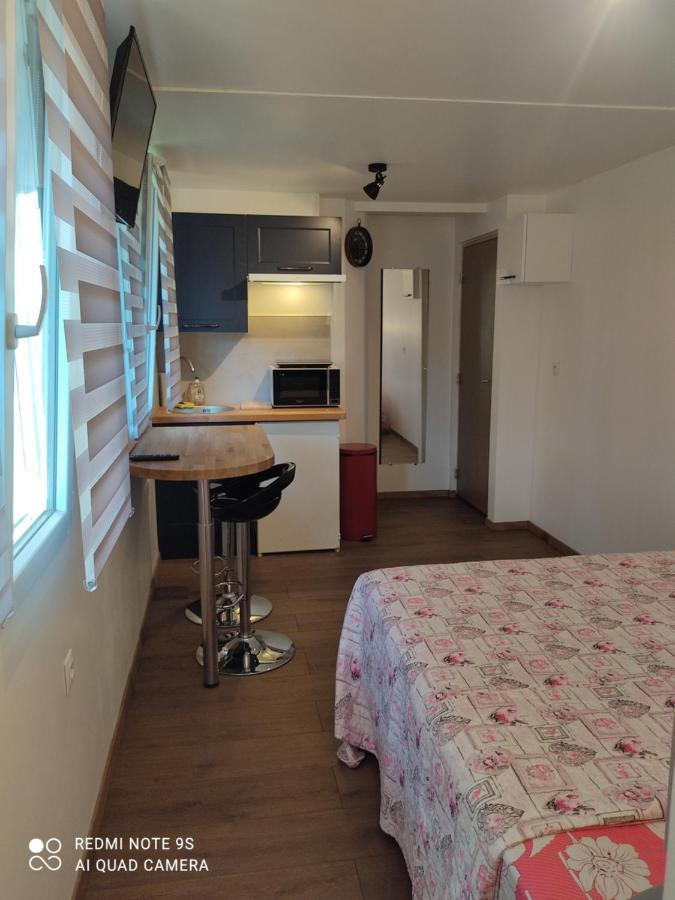 Apartment Albert Parking Prive Gratuit Limoux Dış mekan fotoğraf