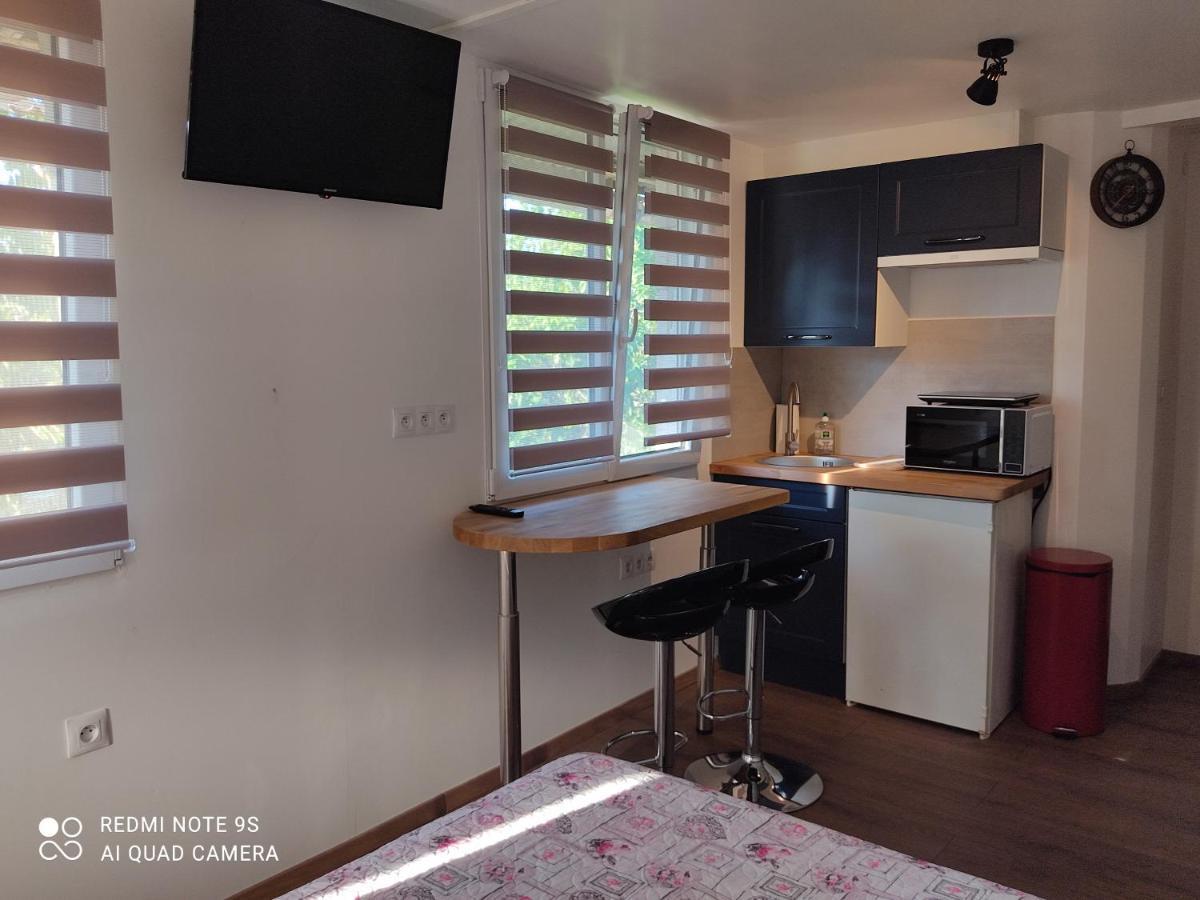 Apartment Albert Parking Prive Gratuit Limoux Dış mekan fotoğraf