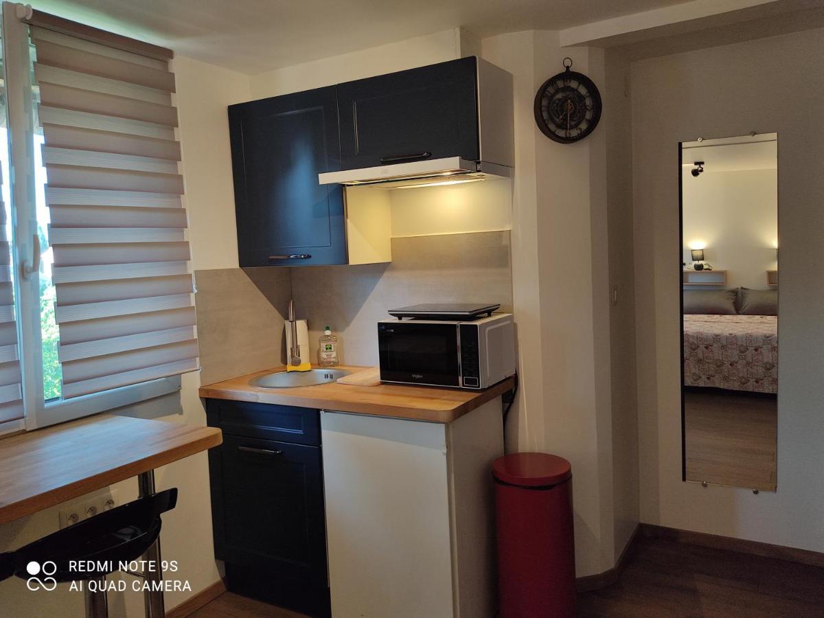 Apartment Albert Parking Prive Gratuit Limoux Dış mekan fotoğraf