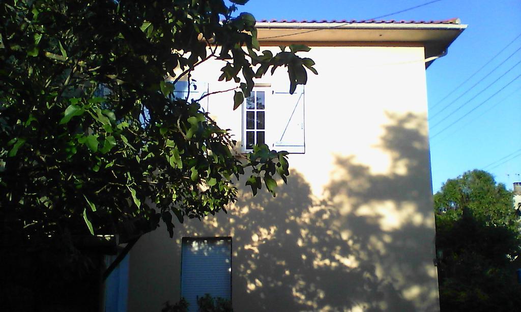 Apartment Albert Parking Prive Gratuit Limoux Dış mekan fotoğraf