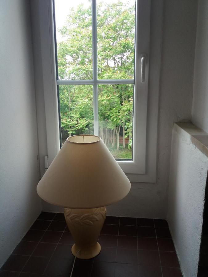 Apartment Albert Parking Prive Gratuit Limoux Dış mekan fotoğraf
